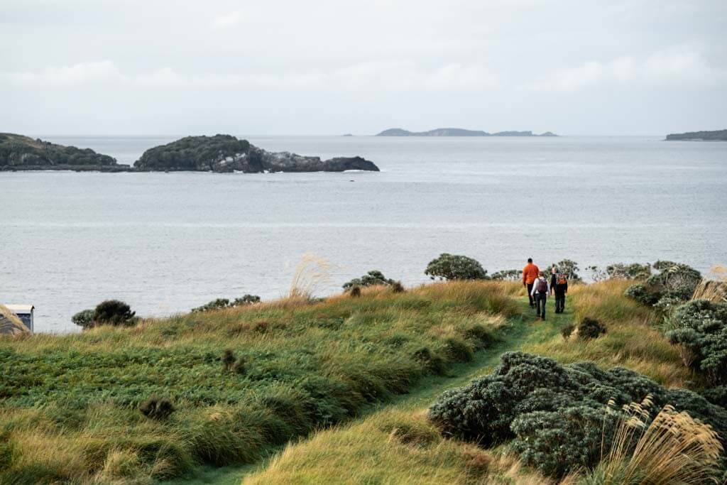 Guided Stewart Island Wilderness Walk with Catamaran Cruise - Image 4