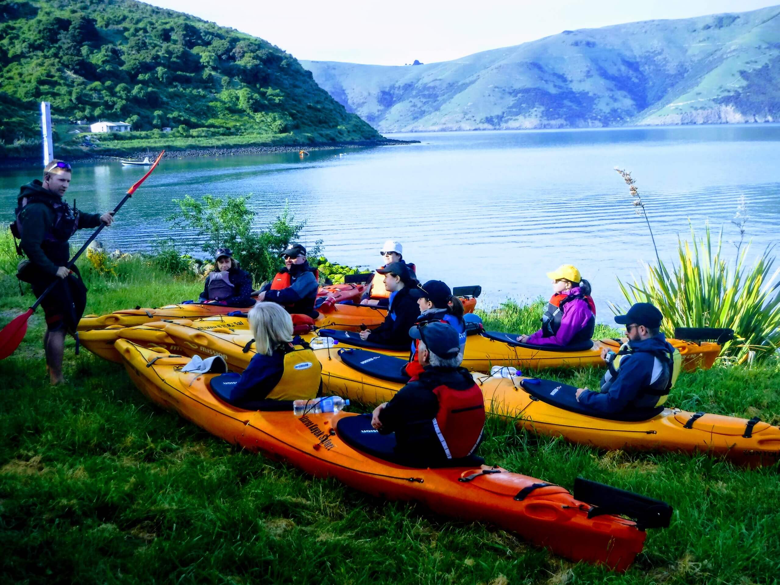 Sunrise Sea Kayaking tour in Akaroa Harbour - Image 2