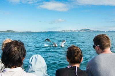 51419852397_59a4200df4_k