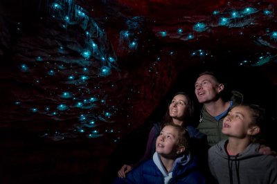 9275-te-anau-gloworms-real-journeys
