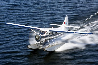 Boat Plan Lake Tarawera Rotorua Chuffed Gifts