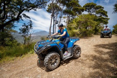 Cable_Bay_Adv_Park-8645