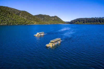 Duck Tarawera
