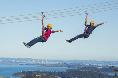 EcoZip Image 16