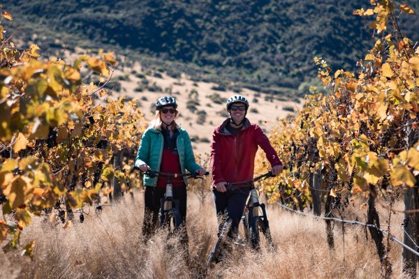 Gibbston Wineries