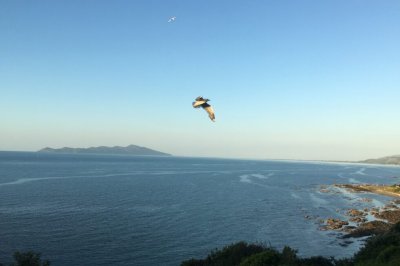 Kaewa tours scenic kapiti coast tour 4