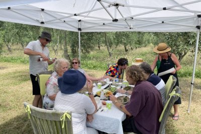 Kaewa tours taste of kapiti 1