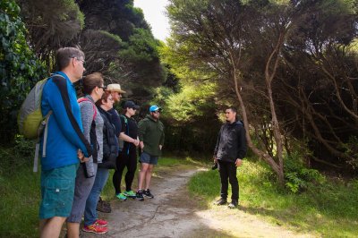 Kapiti Island-52