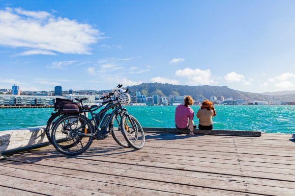 Looking out from Oriental Bay
