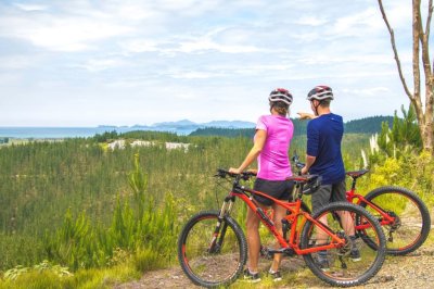 Paihia MTB 12