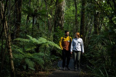 RealNZ-Rakiura-Stewart-Island-Forest-Walk.jpg