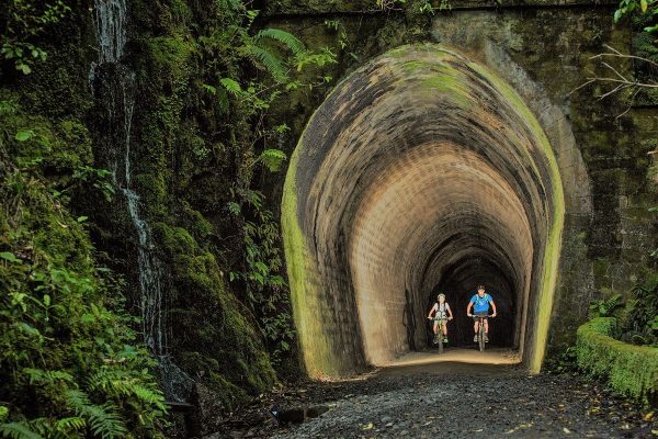 Remutaka Rail Trail Explorer - image 1 - credit Caleb Smith