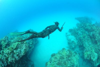 Spearo_diver2