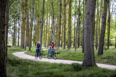Takaro Trails PuketapuLoop