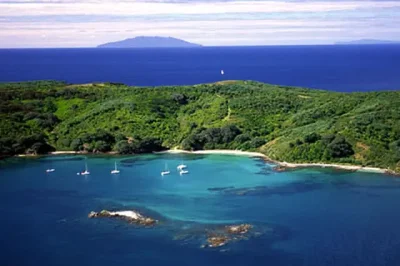 Tiritiri-Matangi-Island