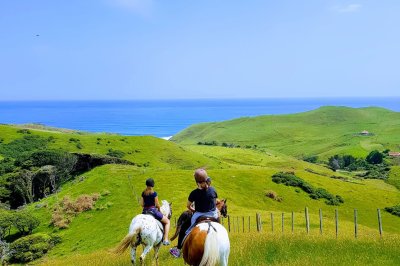 Wildcoast Ruapuke Horse