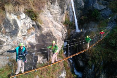 Wildwire Go Wild_115817_1