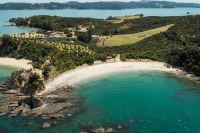 a-view-over-ladies-bay-rotoroa-island