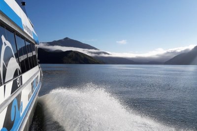 pmb-in-kenepuru-sound